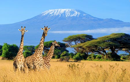 MtKilimanjaro-006