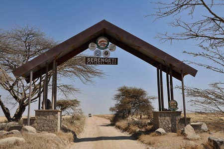 Serengeti-002