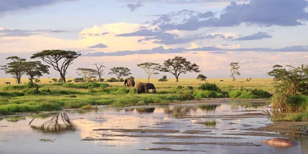 Serengeti-007