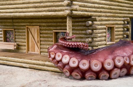 Octopus-002