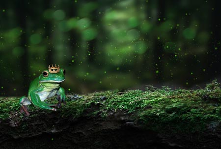Fairytales-054