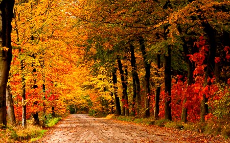 Fall-001