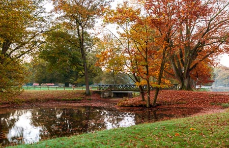 Fall-005